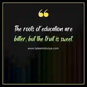 the roots of education